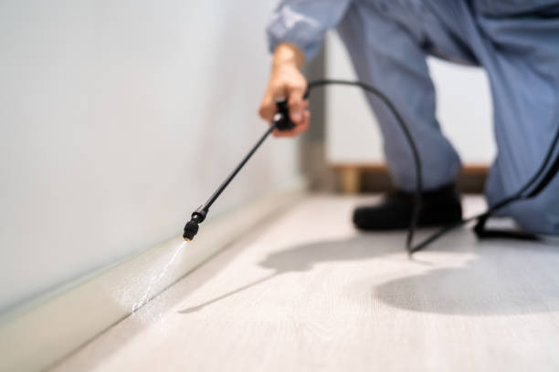 Licensed Termite Control service in Amherst, VA - Nex Pest Control