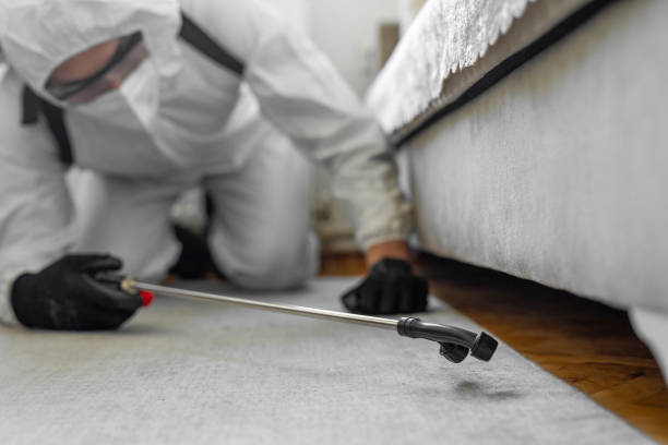 Professional Termite Control technician working in Amherst, VA