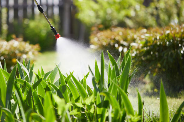 24/7 Emergency Termite Control experts in Amherst, VA