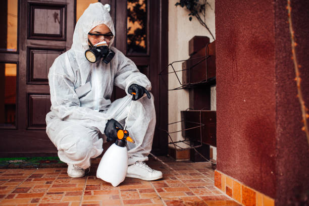 Reliable Termite Control contractor in Amherst, VA by Nex Pest Control