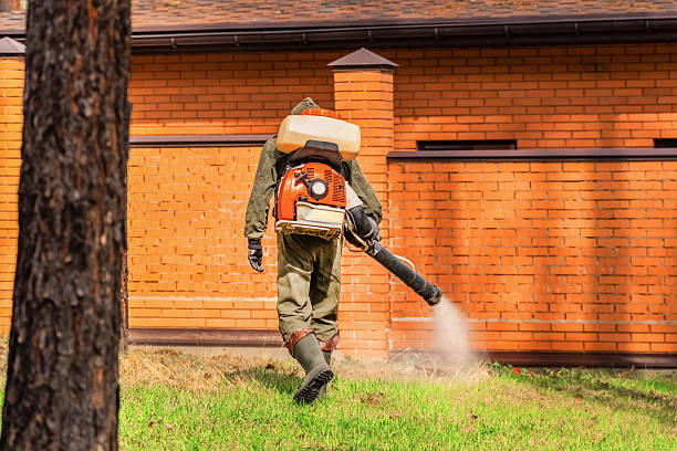 Top rated local Termite Control specialists in Amherst, VA